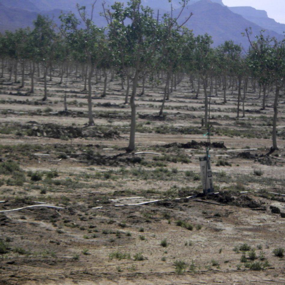 Arizona's rural groundwater deal stalls as legislative session nears end